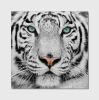 Oppidan Home &quot;Snow Tiger&quot; Acrylic Wall Art (40&quot;H X 40&quot;W)