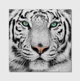 Oppidan Home &quot;Snow Tiger&quot; Acrylic Wall Art (40&quot;H X 40&quot;W)