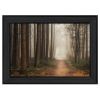 "Quiet" By Martin Podt; Printed Wall Art; Ready To Hang Framed Poster; Black Frame