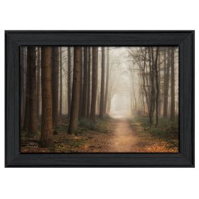 "Quiet" By Martin Podt; Printed Wall Art; Ready To Hang Framed Poster; Black Frame