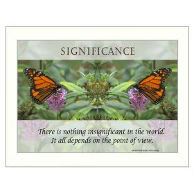 "Significance" By Trendy Decor4U; Printed Wall Art; Ready To Hang Framed Poster; White Frame (Color: as Pic)